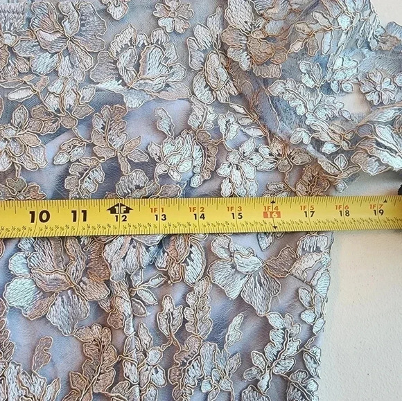 Alex Evenings Women's Long Embroidered A line dress size 6 New - Picture 6 of 14